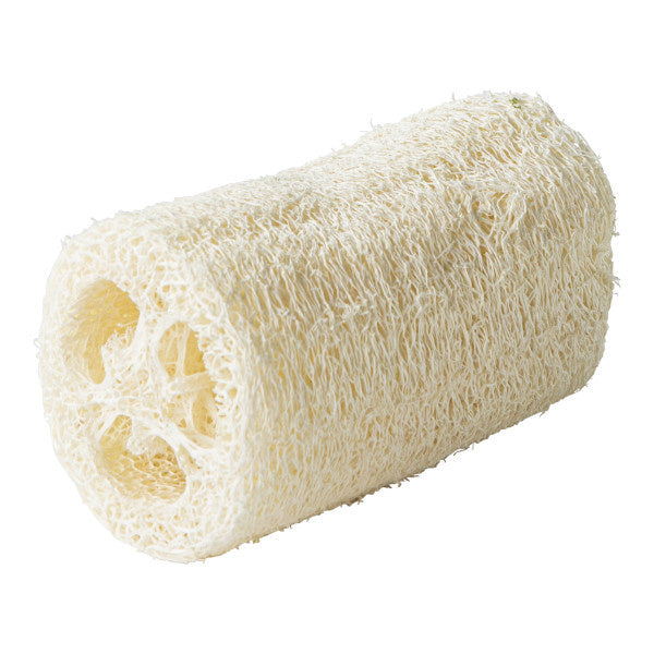 Wellmark scrub spons loofah.